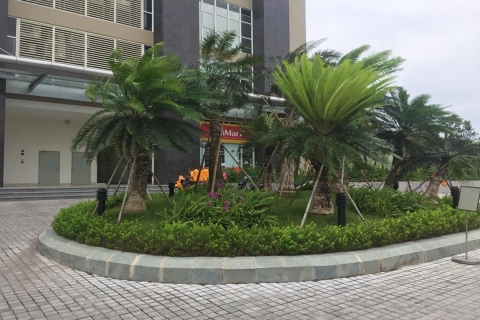 Trồng cây xanh Dự án CT4 Vimeco