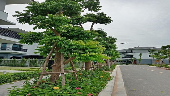 Slide ảnh 3 Slide ảnh 3